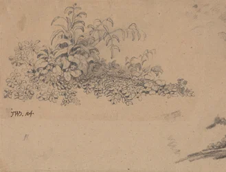 Étude de sous-bois